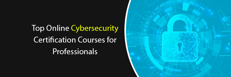 cyber-security-courses-for-professionals