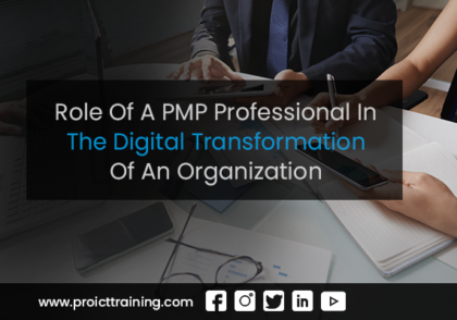 role-of-pmp-professionals